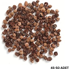 Roco Paper Co. Doğal Kurutulmuş Çam Kozalak Seti-75 Gr, Hobi ve Yılbaşı Süsü, Hediye Paketleme, 45-50 Adet - 2-3 cm