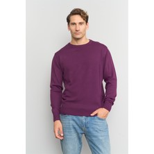 Çetinkaya Mentality K23 3175 Bisiklet Yaka Triko Basic Mürdüm