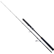 Ryuji Seawolf 1.98M 150-250GR 2p Jig Olta Kamışı