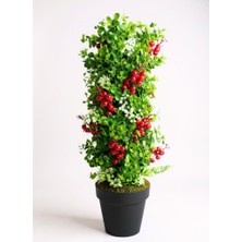 Nettenevime Yapay Çiçek Siyah Saksıda Kokinalı Yeşil Şimşir Ağacı 70*30CM