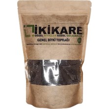 Lidyahan Store Genel Bitki Toprağı 2 Lt