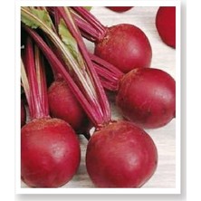 Lidyahan Store Tarım Yerli Doğal Kırmızı Pancar Tohumu 100 Adet Tohum