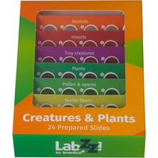 Lidyahan Store Labzz CP24 Canlılar ve Bitkiler Hazırlanmış Slayt Seti