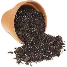 Lidyahan Store Gübreli Saksı Toprağı 10 Lt