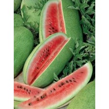 Lidyahan Store Garden Ithal Charleston Gray Karpuzu 20 Ad Tohum