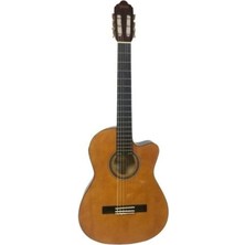 Lidyahan Store Elektro Klasik Gitar