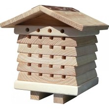 Lidyahan Store World Solitary Arı Kovanı