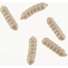 Lidyahan Store Powerbait Power Wigglers Balıkçılık Yumuşak Yem