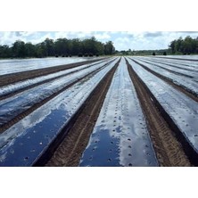 Lidyahan Store Naylonu Uzunluk 5 Metre Eni 130 cm Çilek Naylonu Malç Örtüsü Çilek Örtüsü Siyah Malç Naylon