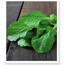 Lidyahan Store Tarım Ata Tohumu Yerli Roka Nuran 2000 Adet Tohum