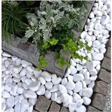 Lidyahan Store Beyaz Dolomit Taş 10 kg 4-6 cm Dekoratif Taş Bahçe Süs Taşı Doğal Dere Çakıl Taşı