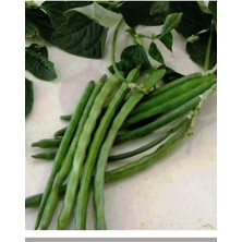 Lidyahan Store Tarım Ata Tohumu Yerli Börülce Karagöz 50 Adet Tohum