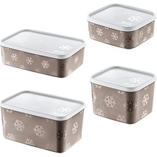 Lidyahan Store 4'lü Set No Frost Saklama Kabı Terra (Tüm Boylar)