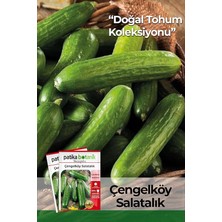 Lidyahan Store BOTANIK-150 Adet Çengelköy Salatalık Tohumu