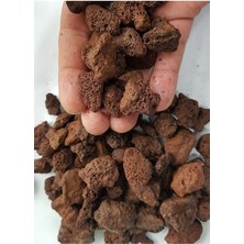 Lidyahan Store Pomza Taşı 10-15 mm 10 Lt Volkanik Ponza Lav Taşı Kaktüs Sukulent Pomzası Tarım Pomzası