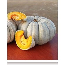 Lidyahan Store Tarım Ata Tohumu Yerli Balkabağı 10 Adet Tohum