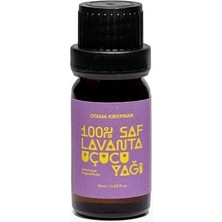 Lidyahan Store Kırkpınar Saf Lavanta Uçucu Yağı 10 ml