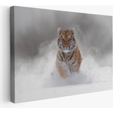 Miyrem-Premier Kanvas Serileri-  Karda Koşan Yavru Kaplan Dekoratif Kanvas Tablo 1135