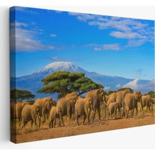 Miyrem-Premier Kanvas Serileri-  Fil Sürüsü Dekoratif Kanvas Tablo 1143