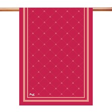 Piramit Coolness Viscon Şal | Logo