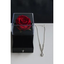 Luphira Fanuslu Sonsuzluk Gülü ve Gümüş Kaplama Kolye Sevgiliye, Arkadaşa