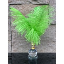 Peramari Dekoratif Top Kristal Cam Tekli Deve Kuşu Tüyü Açık Yeşil Gold