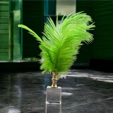 Peramari Dekoratif Küçük Boy Küp Kristal Cam Deve Kuşu Tüyü Açık Yeşil Gold