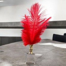 Peramari Dekoratif Küçük Boy Küp Kristal Cam Deve Kuşu Tüyü Kırmızı Gold