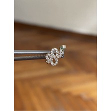 Rupen Kraft 316 L Cerrahi Çelik Dudak Kıkırdak Helix Tragus Piercingi yılan Detaylı Piercing