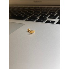 Rupen Kraft 316 Cerrahi Çelik Tragus Helix Kıkırdak Conch Minimal Balık Piercing