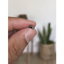 Rupen Kraft 316 L Cerrahi Çelik Tragus Helix Kıkırdak Conch Minik Yıldız Piercing