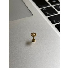 Rupen Kraft 316 Cerrahi Çelik Tragus Helix Kıkırdak Conch Minimal Otantik Deaen Piercing