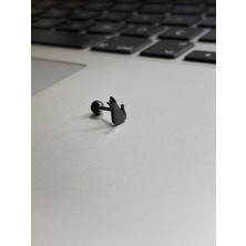 Rupen Kraft Cerrahi Çelik Tragus Helix Kıkırdak Conch Minimal Kedili Piercing