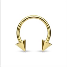 Rupen Kraft 316 Cerrahi Çelik Spike Dudak Kıkırdak Septum Helix Tragus Piercingi