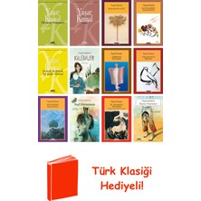 Yapı Kredi Yayınları Yaşar Kemal 12 Kitap Seti + Türk Klasiği Hediye