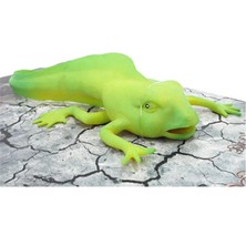 Strech Yeşil Kurbağa Yavrusu