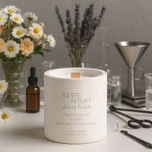 Basement : Daisy Fresh : % 100 Soya Beton Mum (Çiçek Özleri, Pudra, Lavanta, Ylang Ylang)