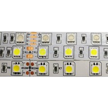Demir Led 24 Volt 5050 Şerit LED Mavi IP65 (5 Metre)