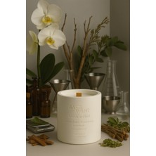 Basement : Black Orchid : Dekoratif % 100 Soya Beton Mum (Orkide Çiçeği, Gardenia, Paçuli, Sandal Ağacı)