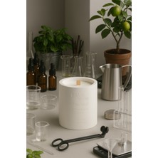 Basement : Lime Basil : % 100 Soya Beton Mum (Reyhan, Limon, Kekik)