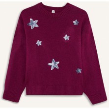 DeFacto Bisiklet Yaka İşlemeli Triko Kazak Kız Çocuk G2145A825WN