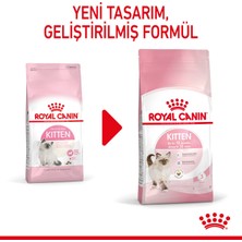 Kediş 2 Kg. Royal Canin Kitten 36 Yavru Kedi Kuru Maması