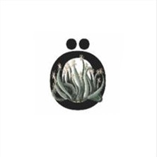 Zeroshop Harf Figürlü Kaktüs Sukulent Saksısı-Ö