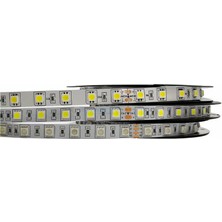 Demir Led 24 Volt 5050 Şerit LED Rgb IP20 Iç Mekan (5 Metre)