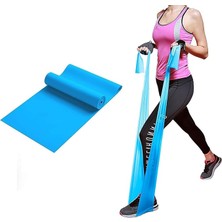 FourForce Direnç Bantları, Tpe Malzeme Streç Bantları, Iyileşme Için Elastik Egzersiz Bantları Seti, Egzersiz Bantları, Fizik Tedavi, Yoga, Pilates, Rehabilitasyon, Fitness, Kuvvet Antrenmanı