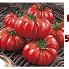 FourForce Adet Italyan Domates Tohumu