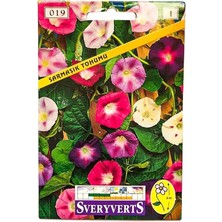 FourForce Çiçekli Sarmaşık Tohumu