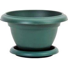 FourForce VM01 1 No Villa Menekşe Saksı Set 0.5 Litre 14 Cm, Yeşil