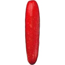 FourForce Ithal Kırmızı Salatalık Tohumu 10 Adet Tohum Red Cucumber