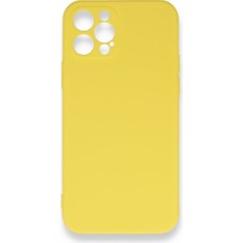 Royal Case iPhone 12 Pro Max Içi Kadife Kaplı Esnek Silikon Kapak Ryc/ Nano Lansman